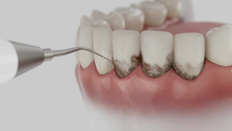 Reliable Dental contractor in Huntsville, AR by Dentist Open Now